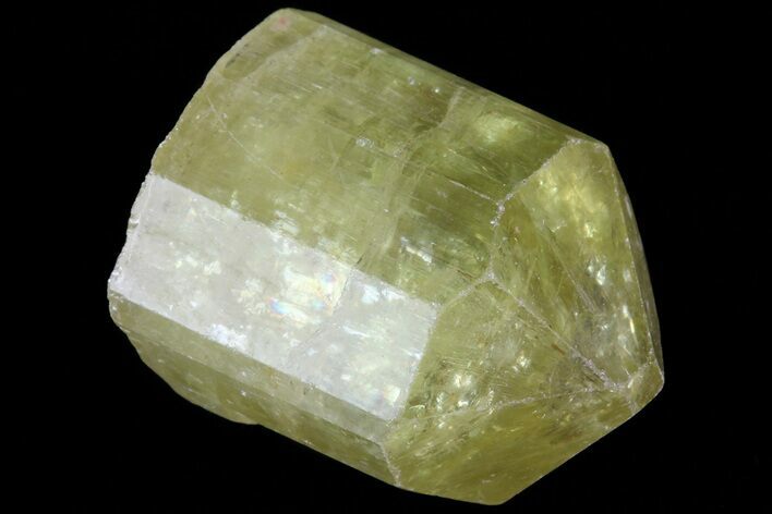 Lustrous Yellow Apatite Crystal - Morocco #82562